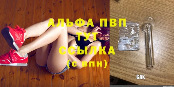 эйфоретик Баксан