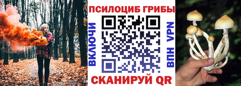 Псилоцибиновые грибы GOLDEN TEACHER  Высоковск 